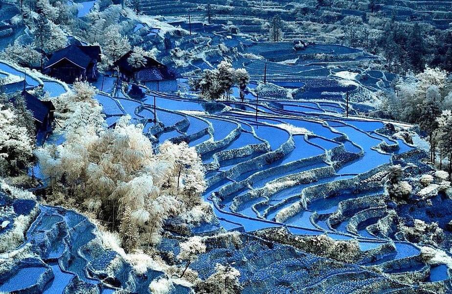 05新化梯田.jpg 05新化梯田.jpg