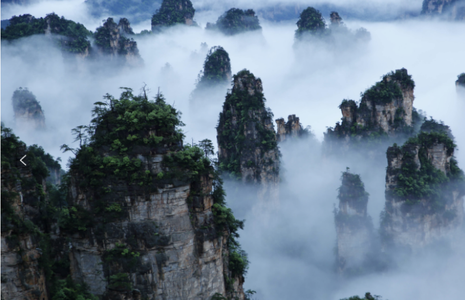 康養(yǎng)游大勢(shì)已至，張家界武陵源區(qū)點(diǎn)“藥”成金